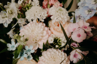 fleurs, fleuriste